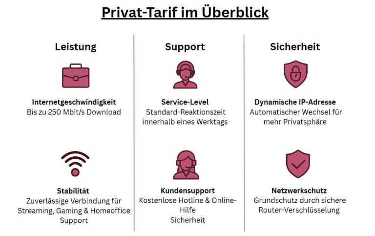 Infografik zum Privat-Internet-Tarif: Überblick über Leistung, Support und Sicherheit mit passenden Icons.
